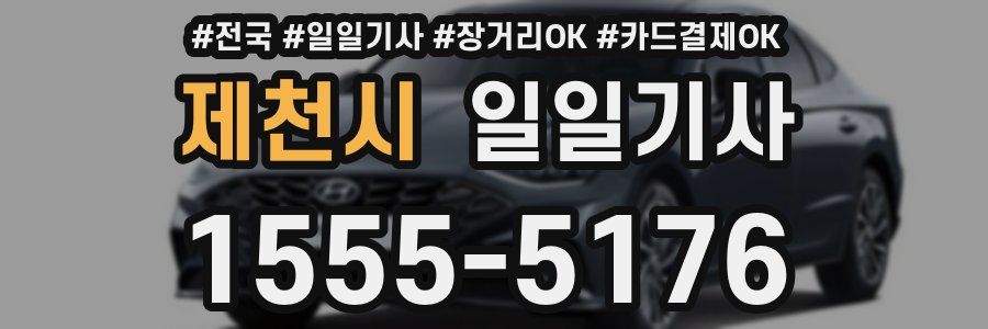 제천시 일일기사