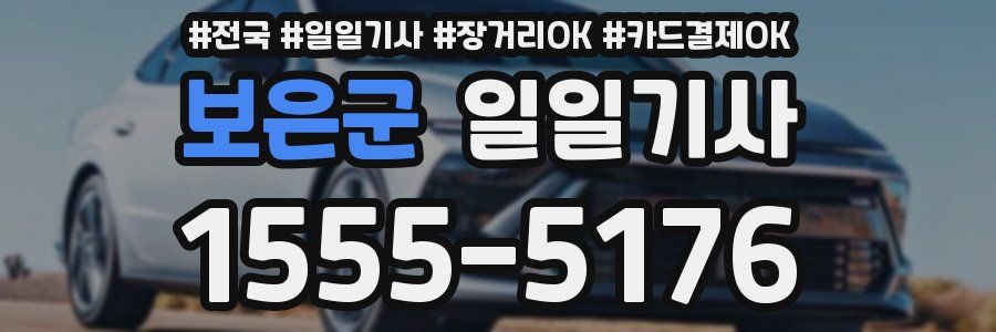 보은군 일일기사