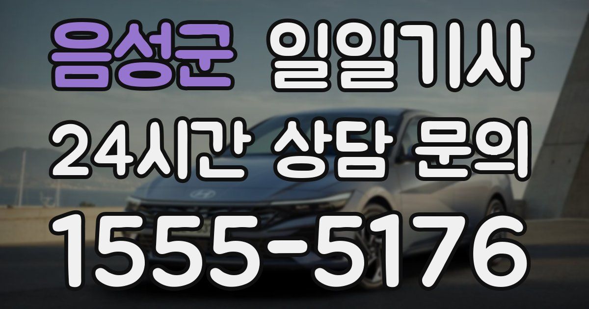 일일대리기사