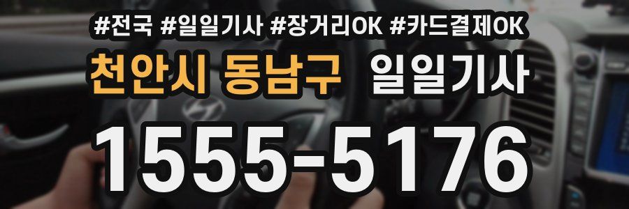 천안시 동남구 일일기사