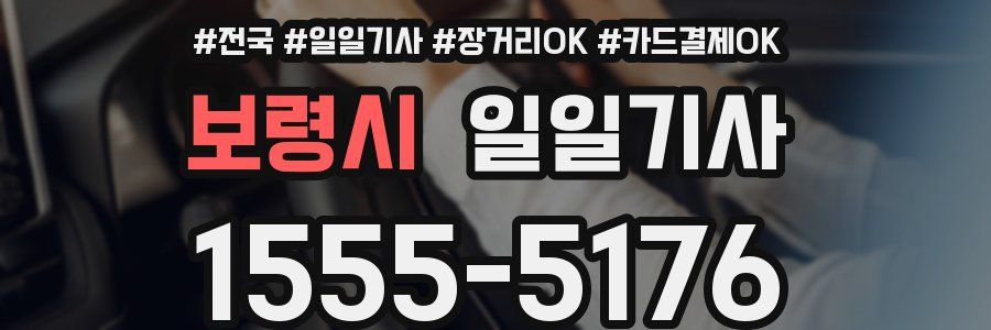 보령시 일일기사