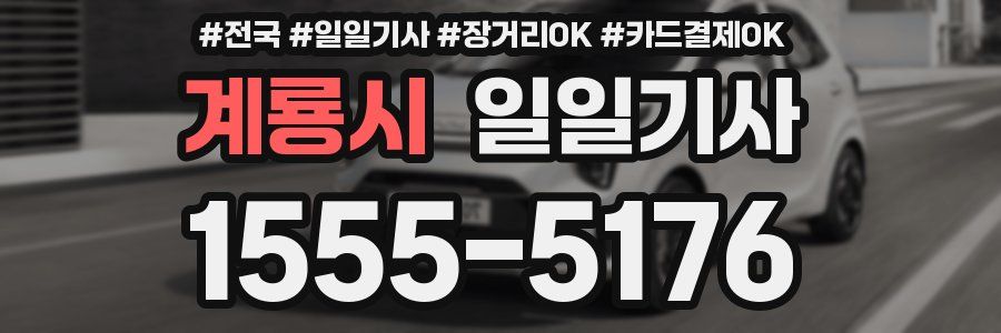 계룡시 일일기사