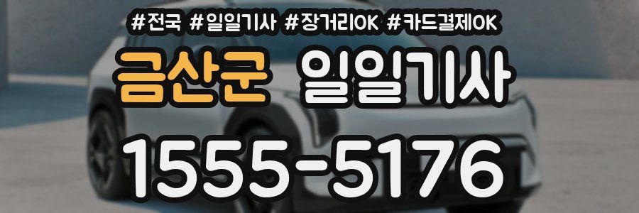 금산군 일일기사