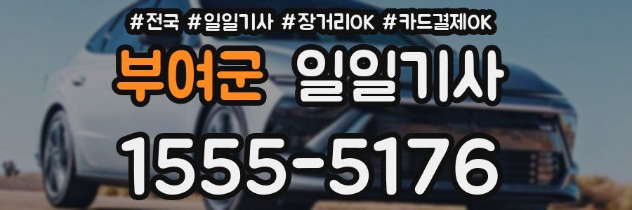 부여군 일일기사