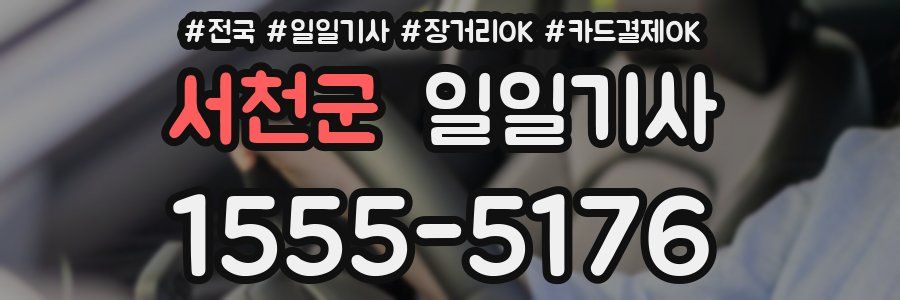 서천군 일일기사