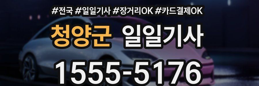 청양군 일일기사