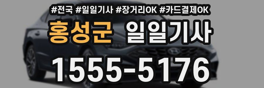 홍성군 일일기사