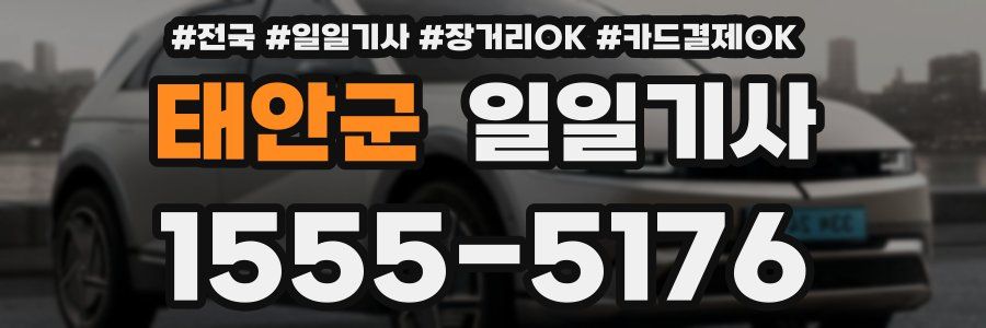 태안군 일일기사