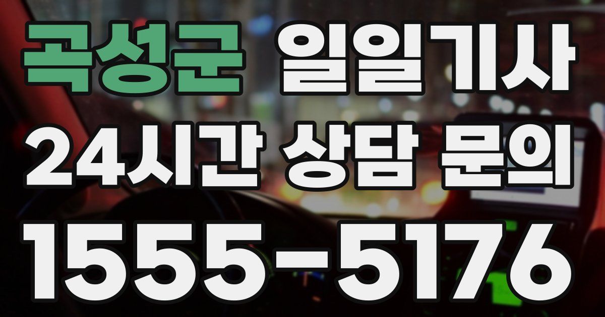 일일대리기사
