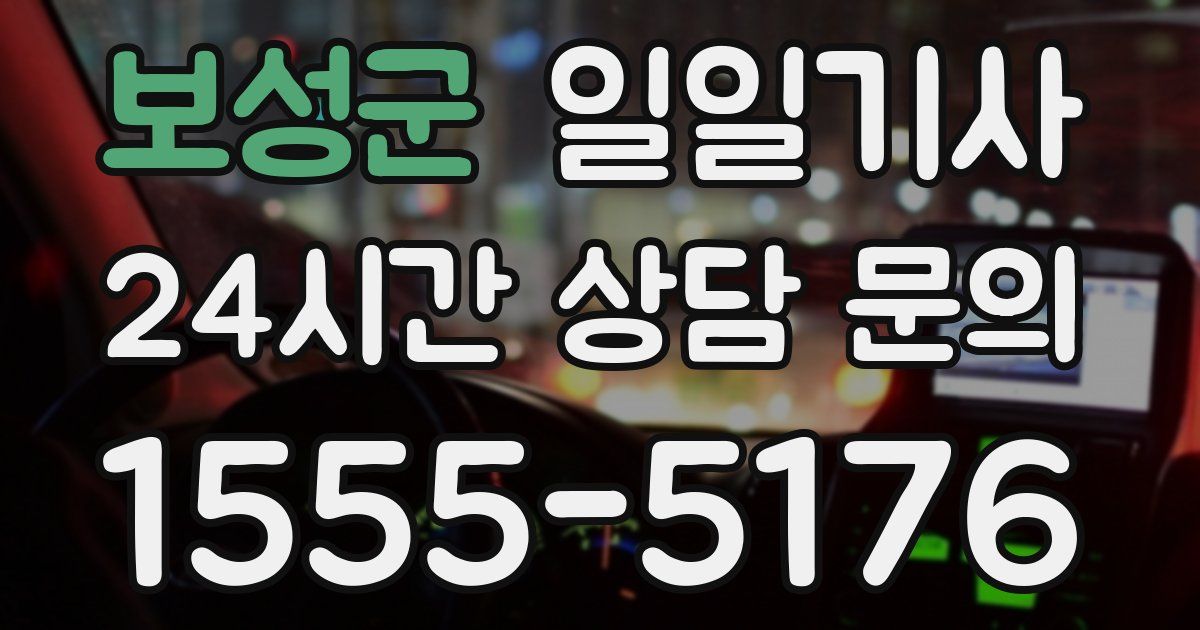 일일대리기사