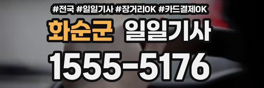 화순군 일일기사