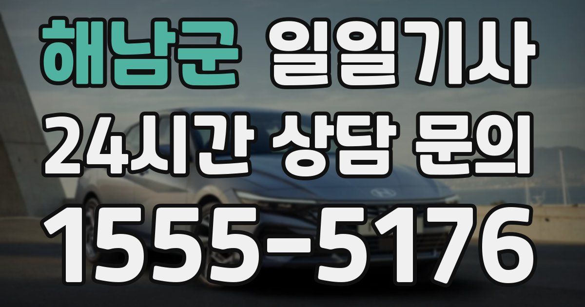 일일대리기사