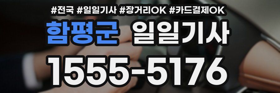 함평군 일일기사