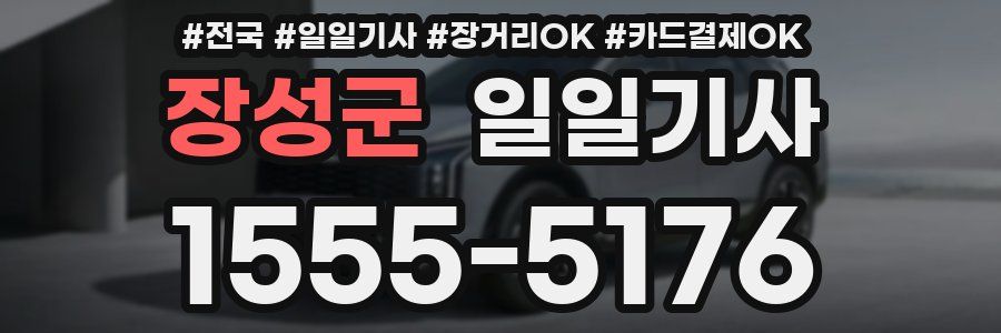 장성군 일일기사