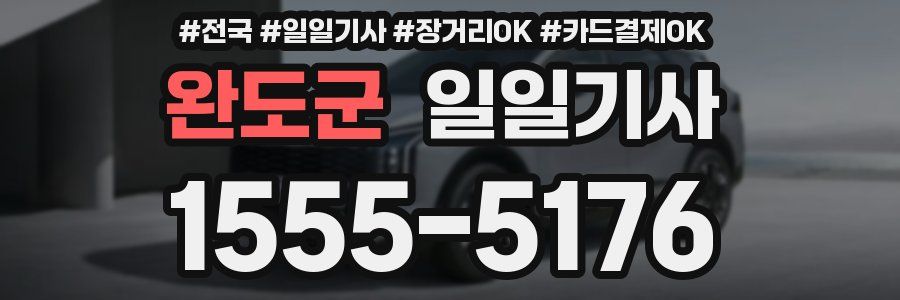 완도군 일일기사