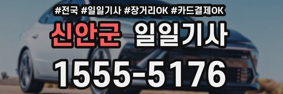 신안군 일일기사
