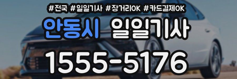 안동시 일일기사