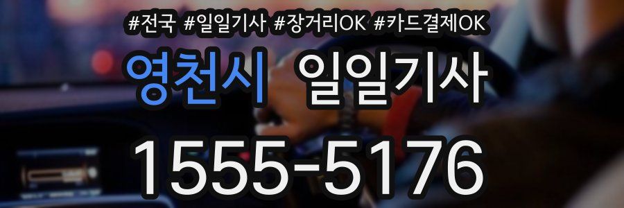 영천시 일일기사