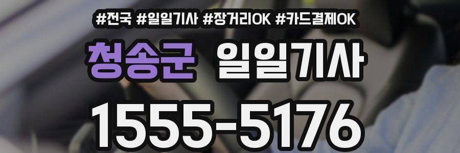 청송군 일일기사