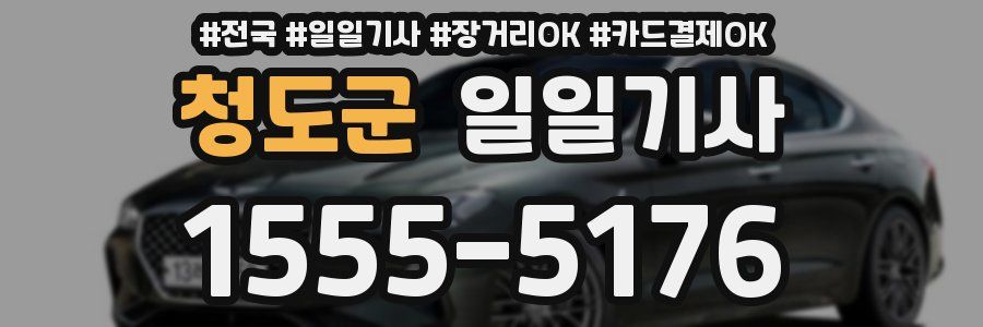 청도군 일일기사