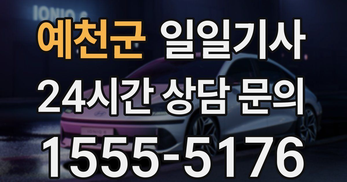 일일대리기사