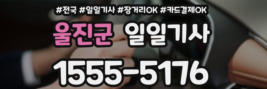 울진군 일일기사