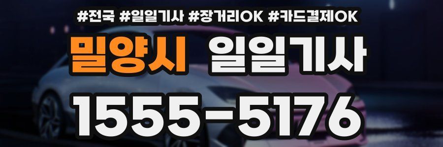 밀양시 일일기사