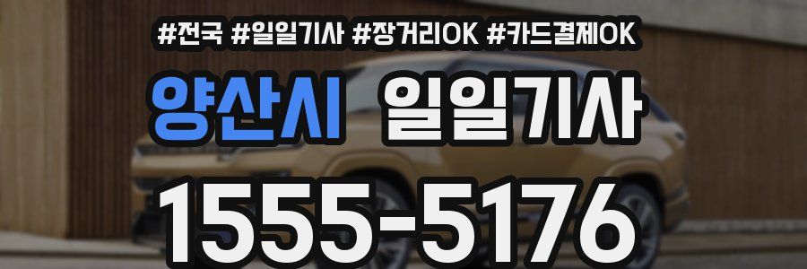 양산시 일일기사