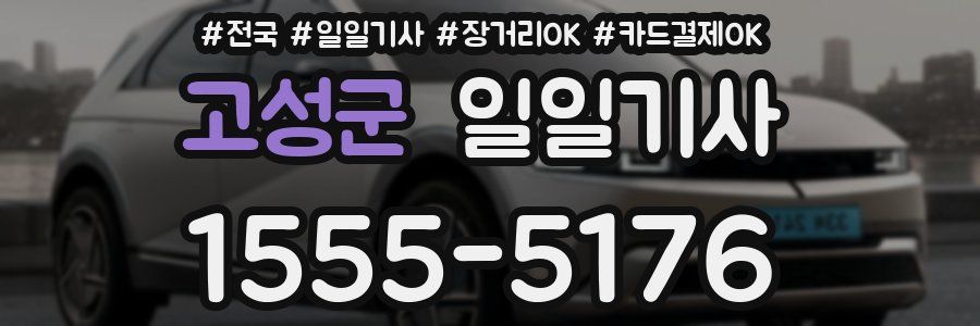 고성군 일일기사