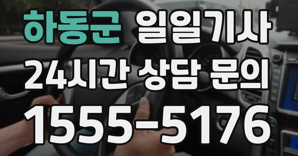 일일대리기사
