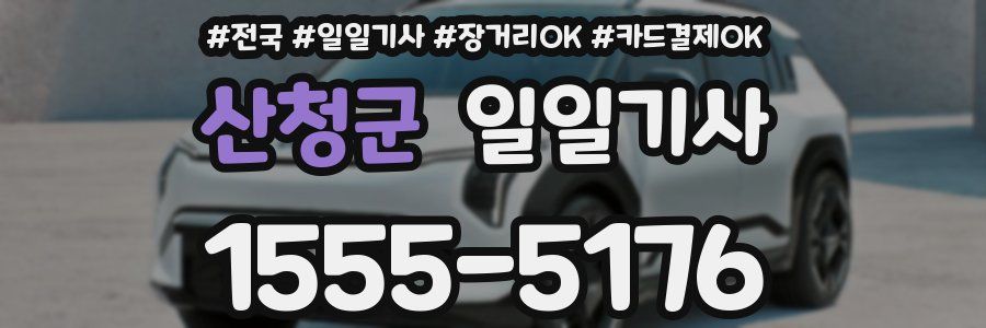 산청군 일일기사