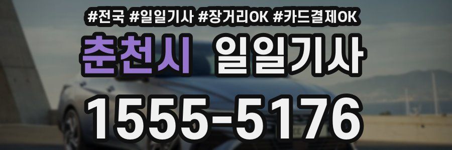 춘천시 일일기사