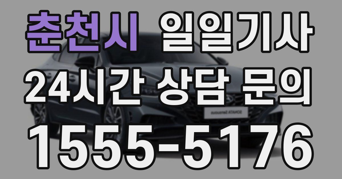 일일대리기사