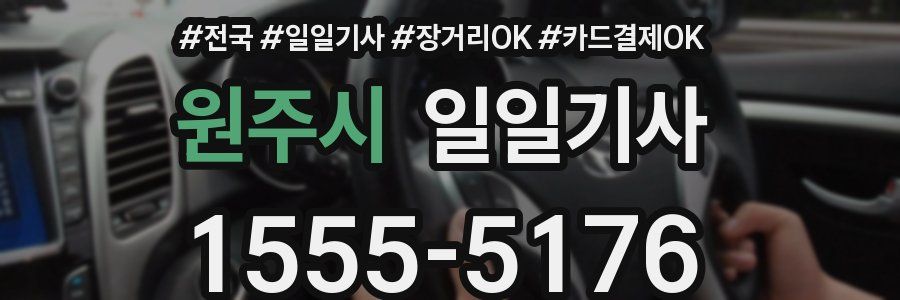 원주시 일일기사