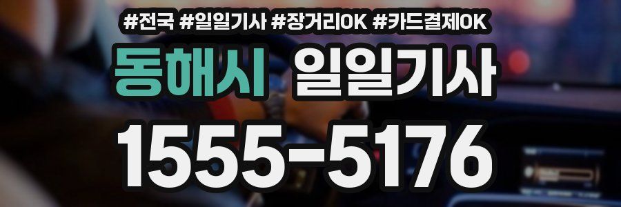 동해시 일일기사