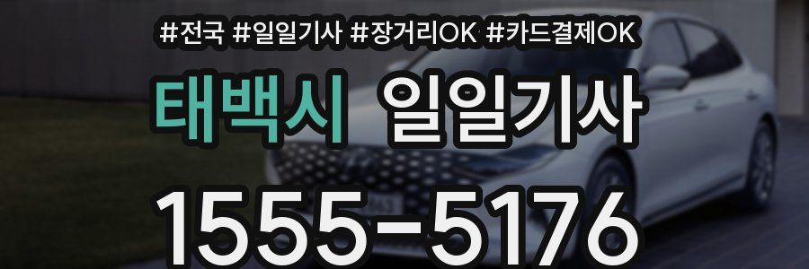 태백시 일일기사