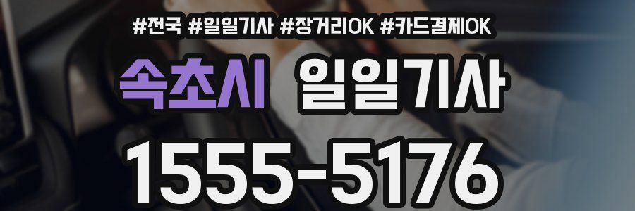 속초시 일일기사