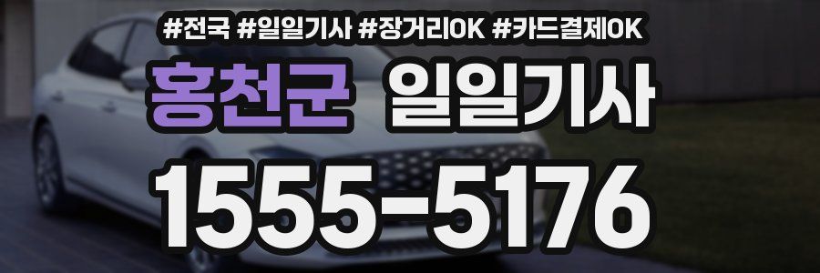 홍천군 일일기사