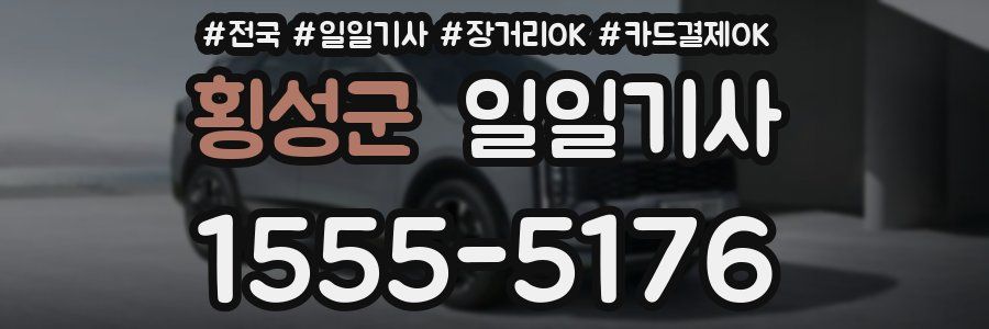 횡성군 일일기사