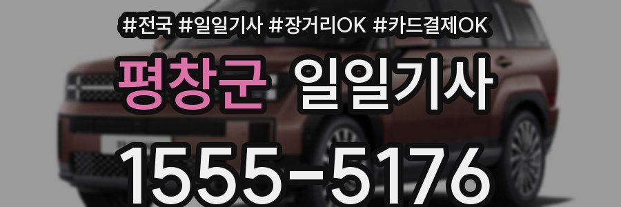 평창군 일일기사