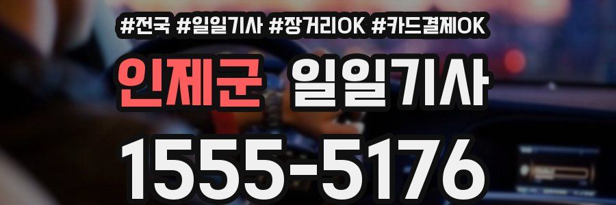 인제군 일일기사