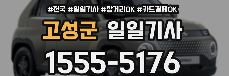 고성군 일일기사