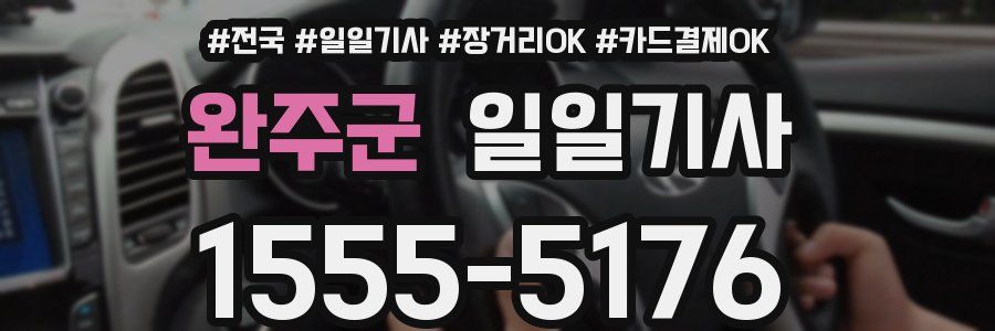 완주군 일일기사