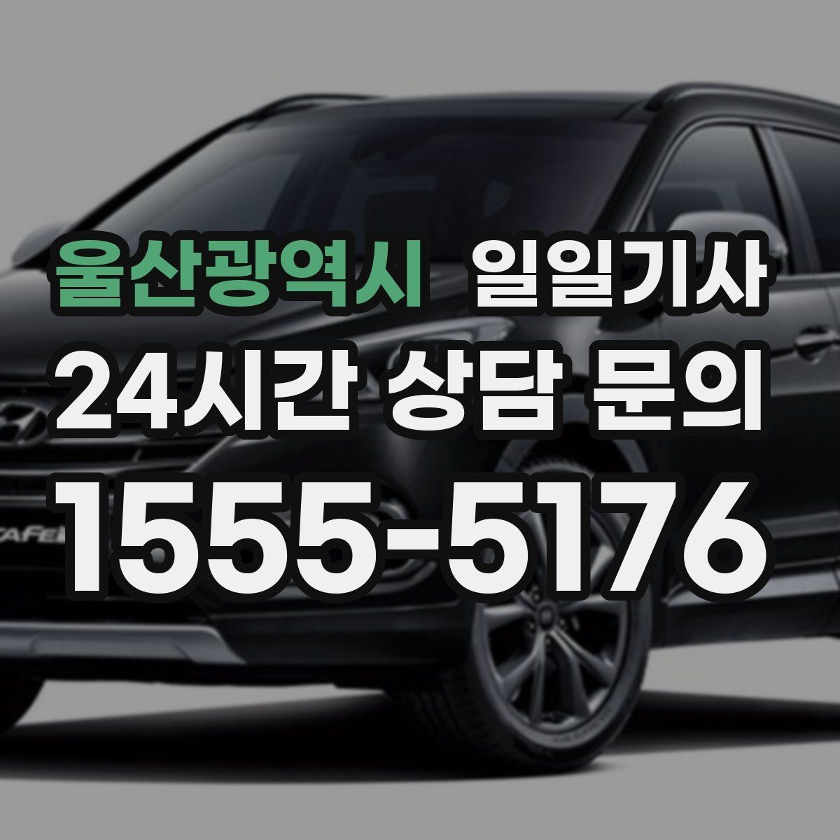 울산광역시 일일기사 목적지 변경에도 흐트러짐 없는 이동