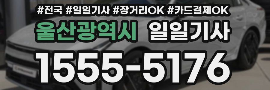 울산광역시 일일기사