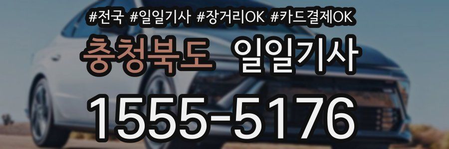 충청북도 일일기사