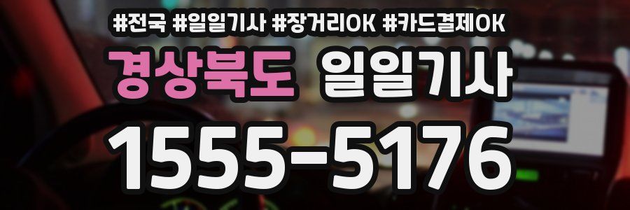 경상북도 일일기사