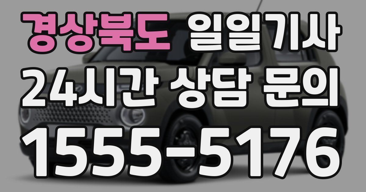 일일대리기사