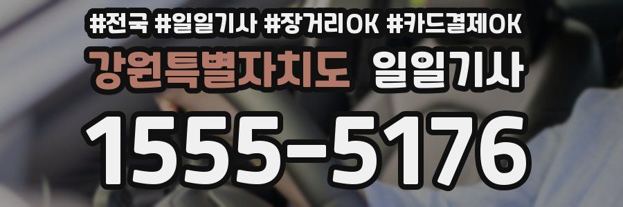 강원특별자치도 일일기사