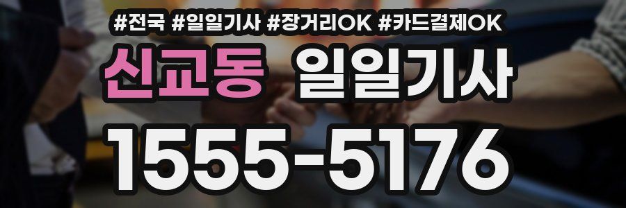 신교동 일일기사